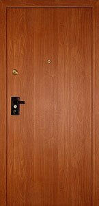 Металлическая дверь с антивандальной пленкой